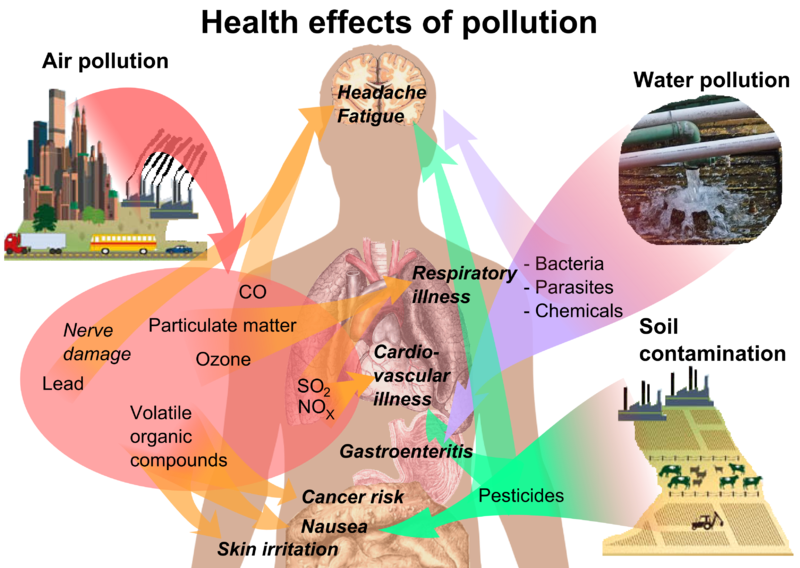 effects of air pollution essay