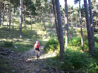 madrid mtb rutas