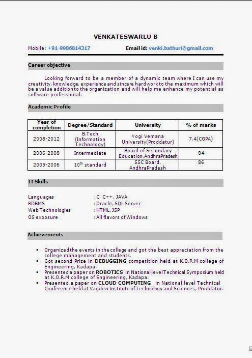 Contoh curriculum vitae pdf