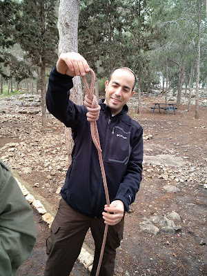 קורס סנפלינג בסיסי, קורס סנפלינג למתחילים