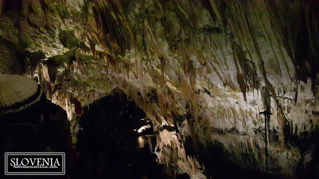 Impressive Cave Tour in Postojna Cave, Slovenia