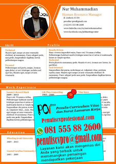 contoh curriculum vitae menarik