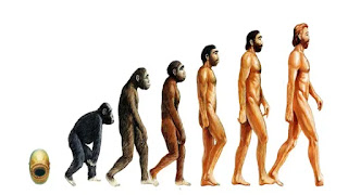 Must see the end of dinosaurs and the birth of humans. Where did Humans come from? 
