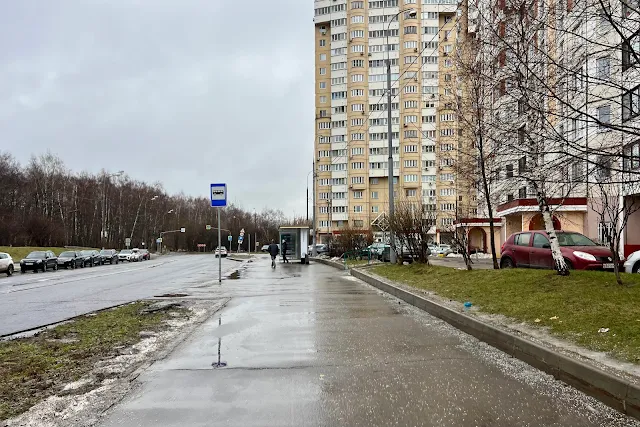 Лебедянская улица
