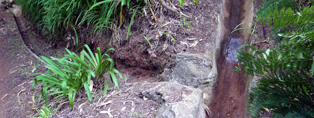 Levada do Blandy (Junction)