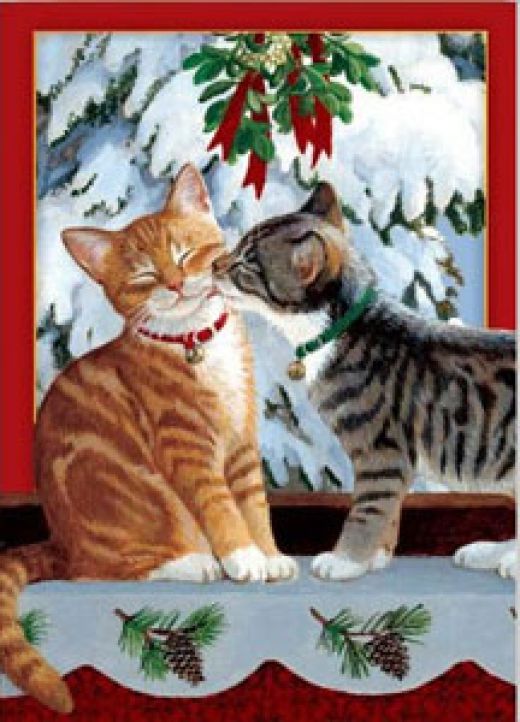 funny christmas cat pictures christmas cat funny pics christmas cat ...