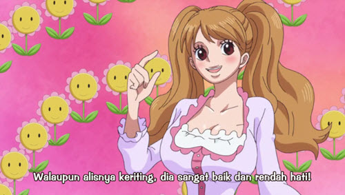 One Piece Episode 787 Subtitle Indonesia