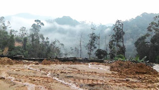 Gambar didakwa bukti pembalakan di Hutan Lipur Lentang