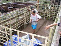 cara membuat kolam ikan terpal rangka