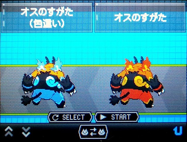 Iro Blog 色違いエンブオー