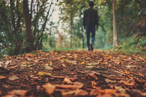 Beste wandelschoenen heren