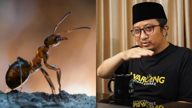 Viral Potongan Ceramah Yusuf Mansur: Demi Allah Saya Bicara dengan Semut!