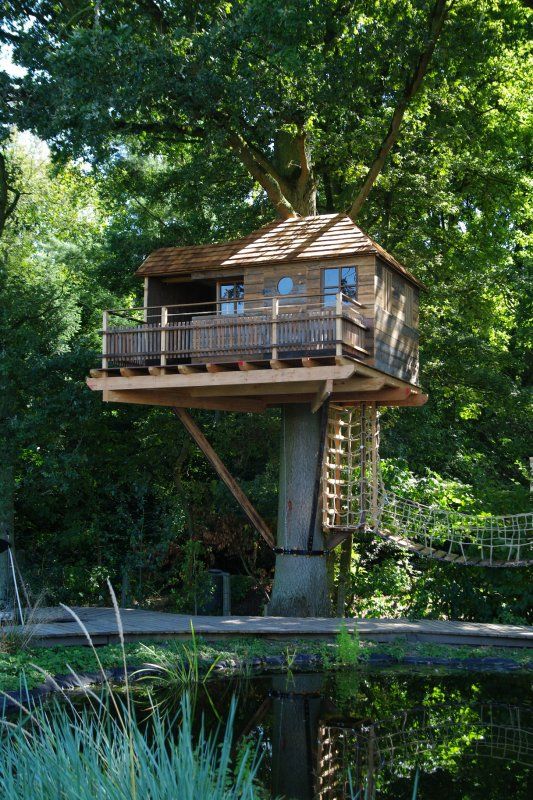 55 Contoh Desain Rumah Pohon Unik dan Fantastis Rumahku 