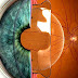 Phakic intraocular lens