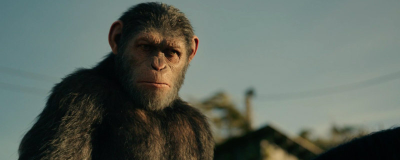 war for the planet of the apes