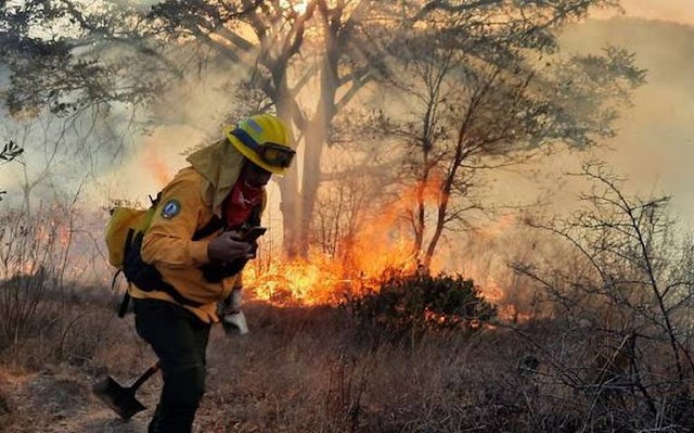 En Totolac y Panotla, incendio más extenso