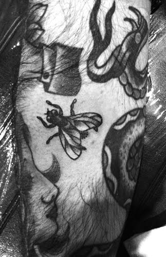 ago I got this boss little tattoo of a fly from Cassandra in Leeds