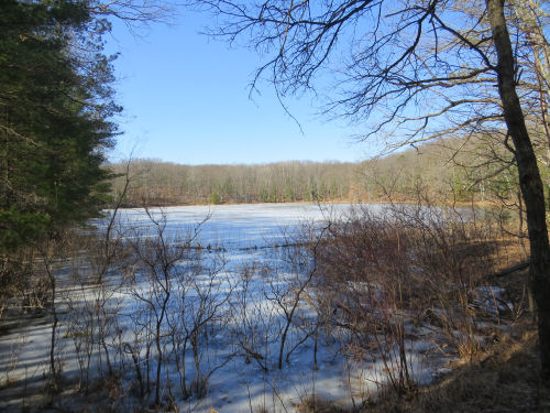 Bowman Lake