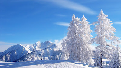 Winter Beautiful view