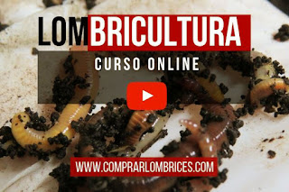 Lombricultura Curso en Casa