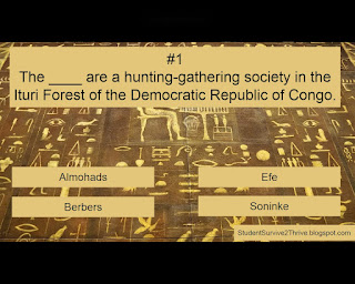 The ____ are a hunting-gathering society in the Ituri Forest of the Democratic Republic of Congo. Answer choices include: Almohads, Efe, Berbers, Soninke