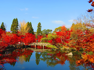 京都 紅葉 壁紙 295567