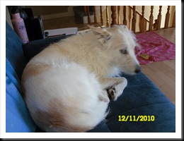 SAM_0753