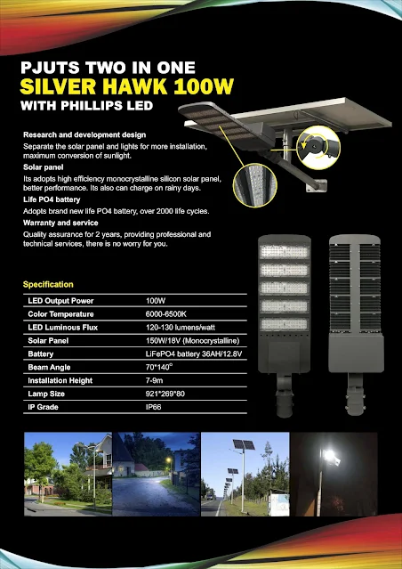 Jual Lampu PJU Solar Cell 100 Watt 2in1