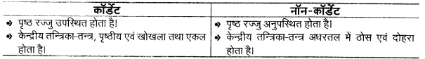 Solutions Class 11 जीव विज्ञान Chapter-4 (प्राणि जगत)