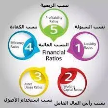 Financial ratios and their implications