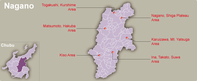 Nagano Map Regional City | Regional City Maps of Japan