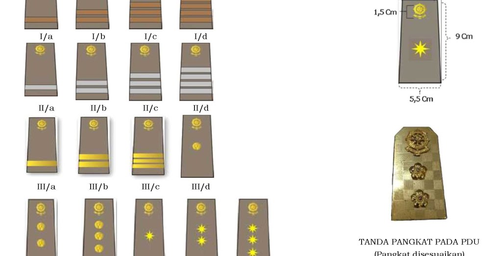 Tanda Pangkat Satuan Polisi Pamong Praja Satuan Polisi 