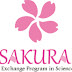 Sakura Exchange Program-ah Mizo naupang