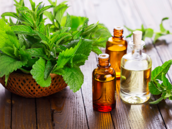 Study || Peppermint Essential Oil for Hair Growth
