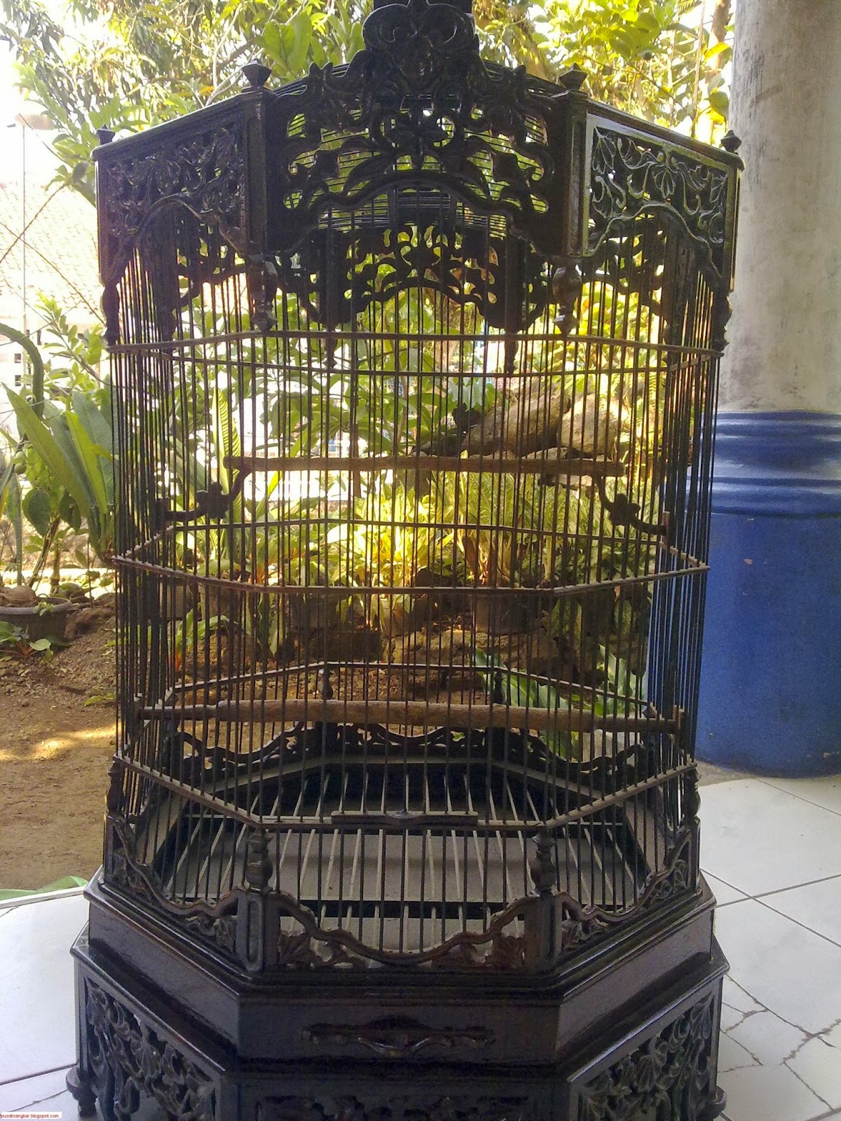 Pusat Jual Sangkar Burung Murah Dan Bagus 2013 Murah 