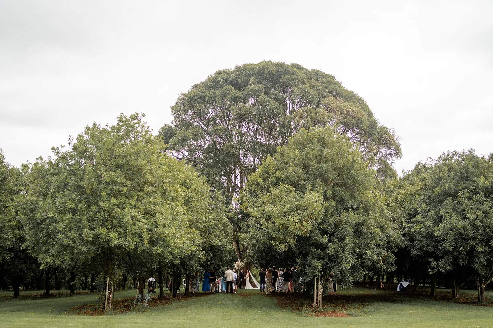 orchard estate wedding sean reefman photography