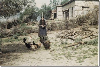 Η γυναίκα  του  μπάρμπα  Νίκου , Μαρία Ν. Πέτρου  ταίζει  τις  κότες  στην  αυλή  της