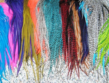 Feather-Hair-Extensions-Pluckyou4