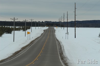 The road home March 3