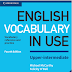 English Vocabulary in Use - Upper-Intermediate by Michael McCarthy Felicity O’Dell pdf