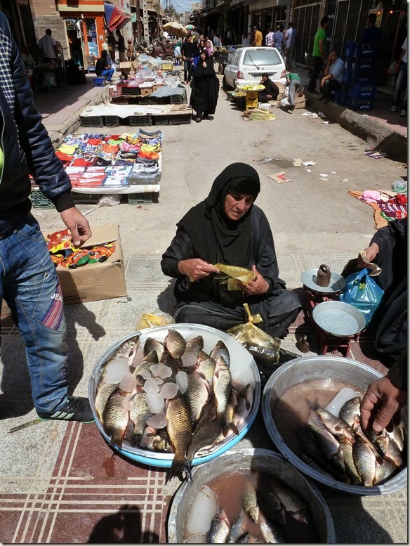 P1190334