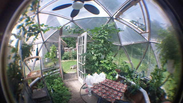 Inside Geodesic Dome Greenhouse