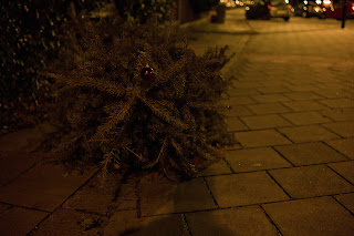 sad dead christmas tree alone in night 