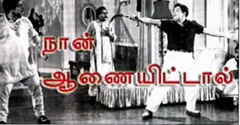 mgr_song_scene