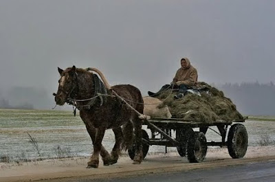 Beauty of Village Life