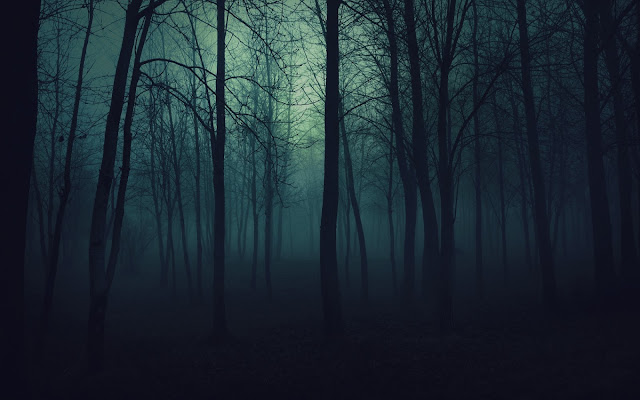 Download Nature Wallpapers Wood Trees Gloomy Fog Haze Darkness Wallpaper HD