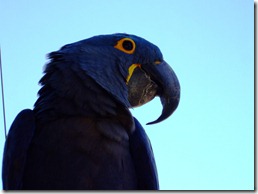 Zoo 074