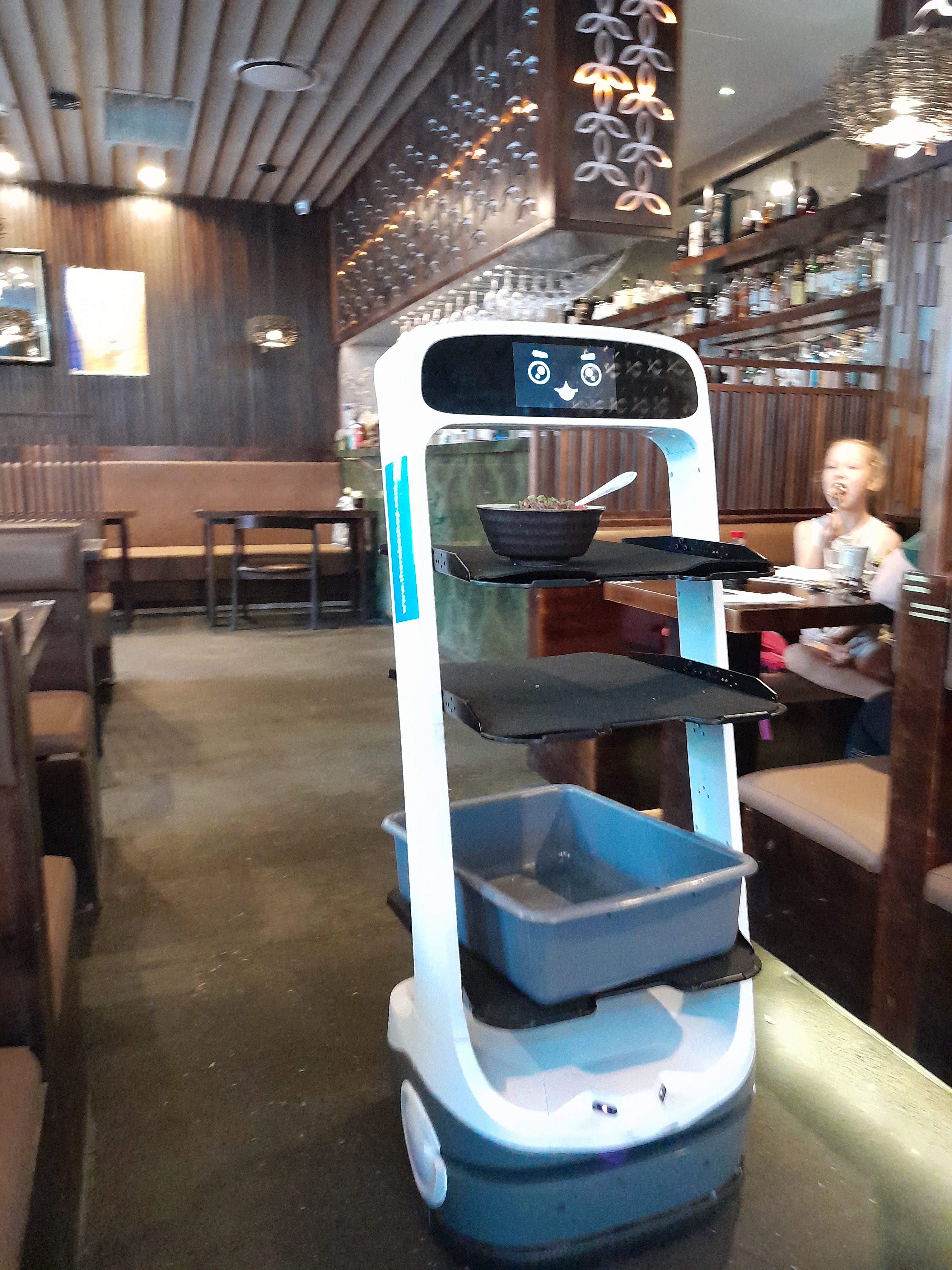 Surviving and enjoying retirement: Robot Waiter