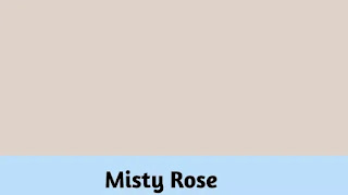 Misty rose colour