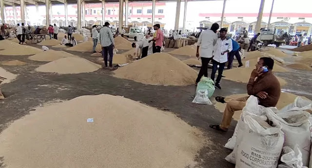 commodity market news of sesame export trade good to Sesame price in gujarat today non-stop rise